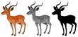 Set of gazelle character