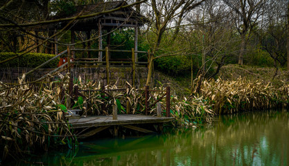 Wall Mural - Captured in Hangzhou Xixi Wetland scenery