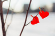 Two red hearts on clothespin on the tree branch outdoors.