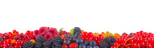 Heap Of Berries Banner