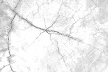 Black  White  Blur Wood Texture Background