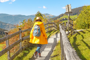 Wall Mural - Woman traveler in yellow cloak hiking in nature park in mountains at autumn time