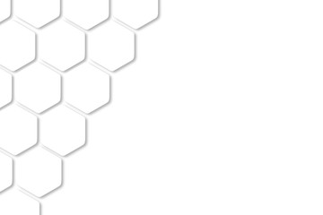 digital art illustrator background. hexagon shape, white, shiny black.background ideas for your desi