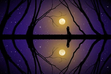 Sticker - Lovers among trees on moonlit night. Vector illustration with silhouette of loving couple. Full moon in starry sky