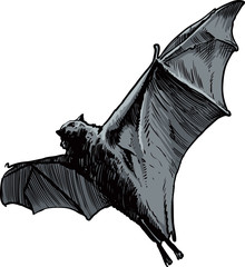 Wall Mural - Bat sketch, vector