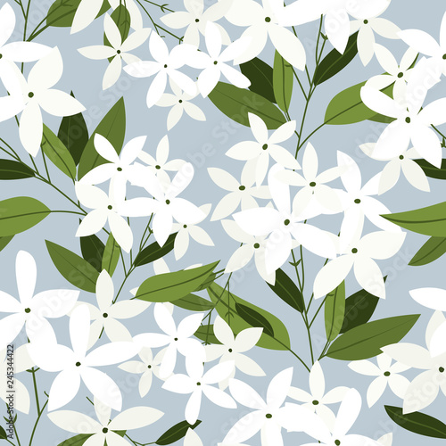 Jasmine flowers seamless pattern. Poster Mural XXL