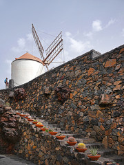 Wall Mural - Windmill and steps with cactus, Cactus Gardens Lanzarote