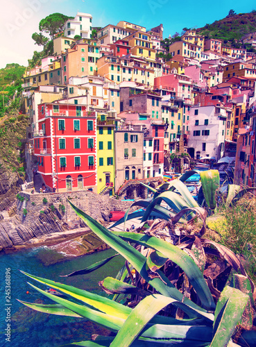 charming fascinating city landscape with rocks on the coast of Riomaggiore in...