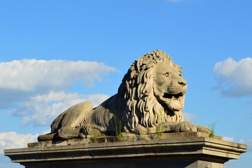 Wall Mural - Lion statue in Budapest, Hungary