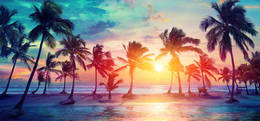 palm trees silhouettes on tropical beach at sunset - modern vintage colors