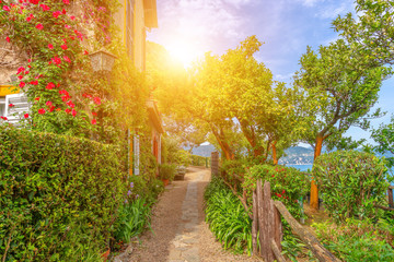 Fototapete - Beautiful green alley in Portofino, Italy, Europe