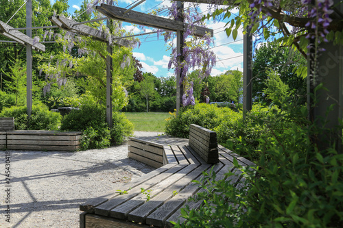 Garten Und Landschaftsbau Holzbanke Unter Einer Mit Blauregen