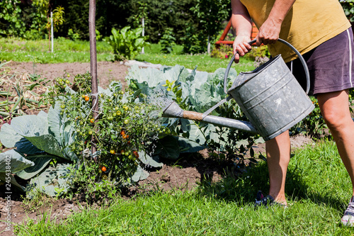 Middle Aged Woman Working Hard On The Vegetable Garden The