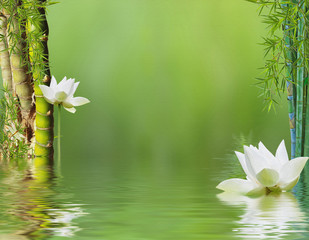 Wall Mural - composition aquatique avec bambous et fleurs blanches de lotus avec placage de texture toile