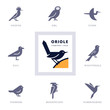 Set of various bird symbols and logo design elements for company and organizations. Collection icons with birds.