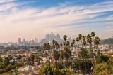 Fototapeta  - Los Angeles skyline at sunset with palm trees in the foreground