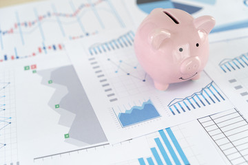 Wall Mural - Finance Data analyzing with calculator  Economy Investment planning budget