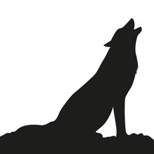 Howling Wolf Silhouette On White Background Vector Illustration EPS10