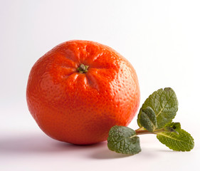 Wall Mural - tangerine with mint