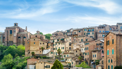 siena old houses at the hill