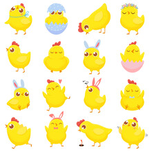 Easter Chicks. Spring Baby Chicken, Cute Yellow Chick And Funny Chickens Isolated Cartoon Vector Illustration Set