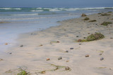 Fototapeta  - pebbles on the beach