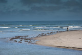 Fototapeta Konie - walking surfer on the beach