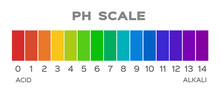 Ph Scale Vector Graphic . Acid To Base