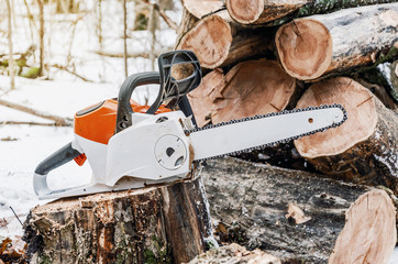 Sticker - Chain saw on cut logs into the woods. Forest clearing, tree cutting, ecology.