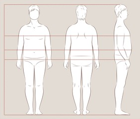 Wall Mural - Male body lines and proportions for sewing