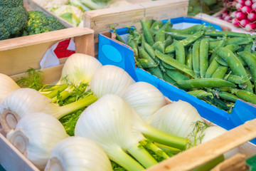 Fresh bio vegetables on farmer market in Paris, France. Typical European local farmer market