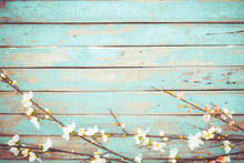 Cherry Blossom Flowers On Vintage Wooden Background, Border Design. Vintage Color Tone - Concept Flower Of Spring Or Summer Background