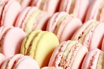 Sticker - French macaroons in pink and yellow colors.