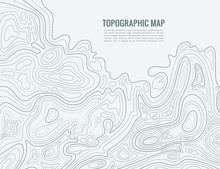 Contour Line Map. Elevation Contouring Outline Cartography Texture. Topographical Relief Map Vector Background