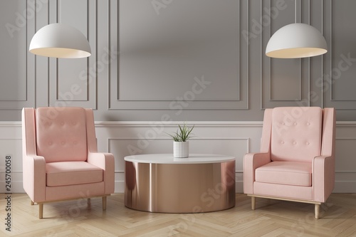 Contemporary Interior Of Living Grey Wall With Pink Armchair Side Grey Wall With Pink Armchair