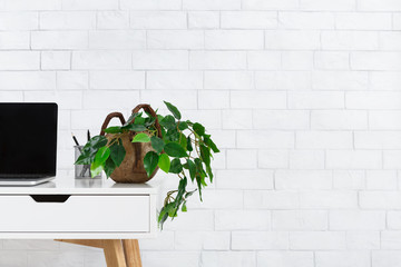 Poster - Minimalistic home office. Workplace with houseplant and laptop
