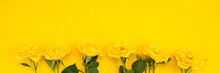 Yellow Flowers On A Yellow Background. Spring, Easter, Sunny Mood.