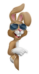 Poster - Easter bunny rabbit cartoon character in cool sunglasses or shades peeking around a sign and pointing at it