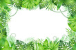 Jungle background. Tropical leaves frame. Rainforest foliage plants, green grass trees. Paradise african wildlife jungle