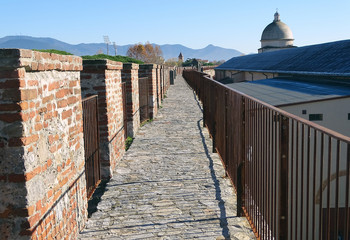 Wall Mural - Old city walls in Pisa, Italy