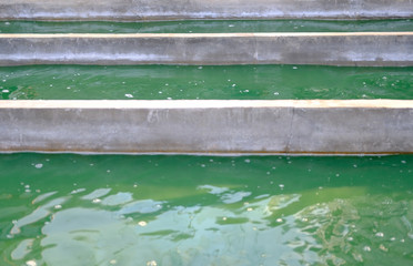 spirulina farm. algae farming for producing dietary supplement