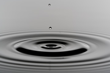 Wall Mural - water surface with droplets