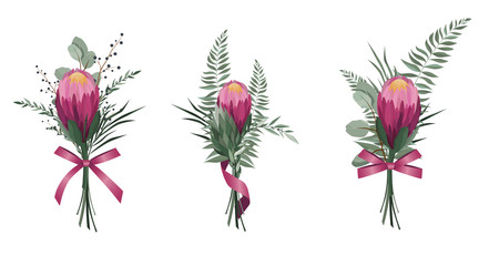 Vector flowers set. Colorful floral collection with leaves and flowers. Protea Flower bouquet.