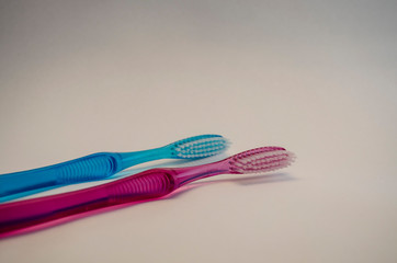 toothbrushes in bowl, family, couple