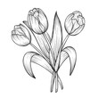 Hand drawn and sketch tulips flower bouquet. Black and white with line art vector illustration. Floral botanical flower.