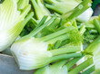 Fresh Florence fennel bulbs or Fennel bulb in the market. Healthy and benefits of Florence fennel bulbs