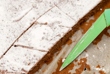 Delicious homemade cake and green slicing knife