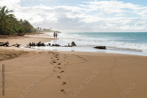 Traces Dans Le Sable Plage De La Perle Deshaies