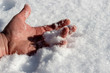  Frozen man's hand in snow on a frosty day