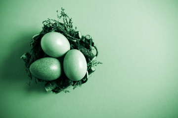 Easter eggs in the nest on green paper background.